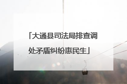 大通县司法局排查调处矛盾纠纷惠民生