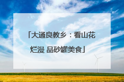 大通良教乡：看山花烂漫 品砂罐美食