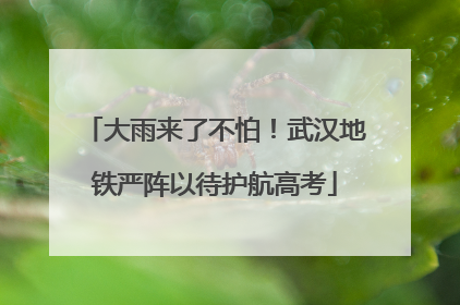 大雨来了不怕！武汉地铁严阵以待护航高考