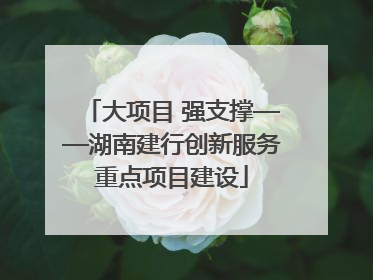 大项目 强支撑——湖南建行创新服务重点项目建设