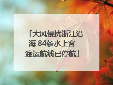 大风侵扰浙江沿海 84条水上客渡运航线已停航