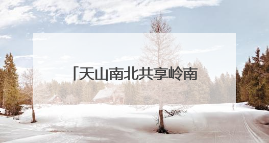 天山南北共享岭南鲜甜！广东荔枝抢“鲜”北上进疆