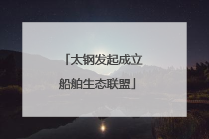 太钢发起成立船舶生态联盟