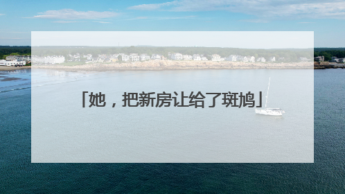 她，把新房让给了斑鸠