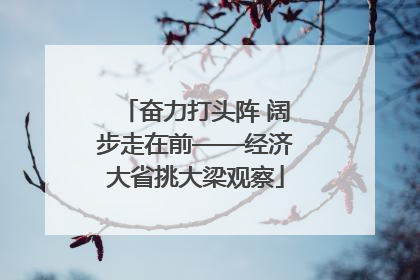 奋力打头阵 阔步走在前——经济大省挑大梁观察