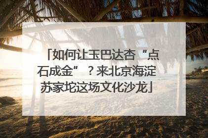 如何让玉巴达杏“点石成金”？来北京海淀苏家坨这场文化沙龙