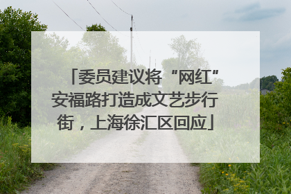 委员建议将“网红”安福路打造成文艺步行街，上海徐汇区回应
