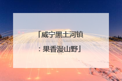 威宁黑土河镇：果香漫山野