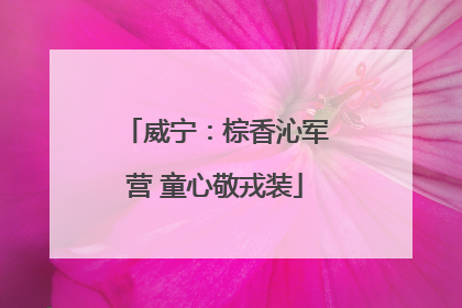 威宁：棕香沁军营 童心敬戎装