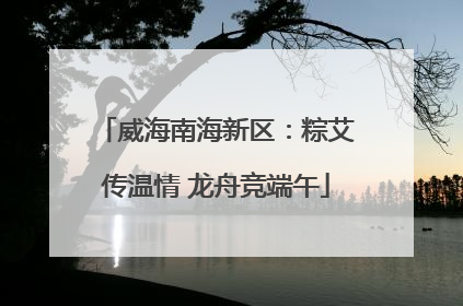 威海南海新区：粽艾传温情 龙舟竞端午