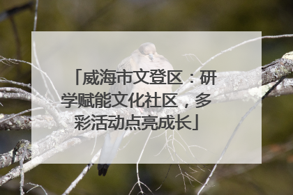 威海市文登区：研学赋能文化社区，多彩活动点亮成长