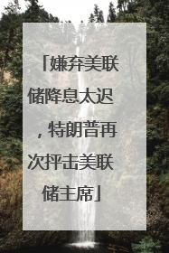 嫌弃美联储降息太迟，特朗普再次抨击美联储主席