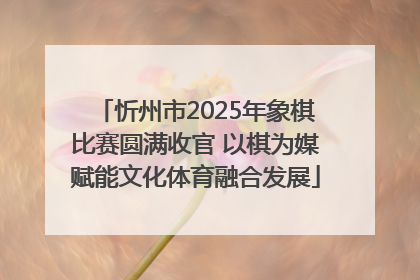 忻州市2025年象棋比赛圆满收官 以棋为媒赋能文化体育融合发展