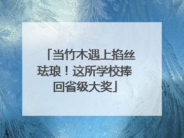 当竹木遇上掐丝珐琅！这所学校捧回省级大奖