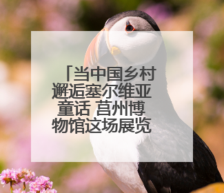当中国乡村邂逅塞尔维亚童话 莒州博物馆这场展览太震撼了！