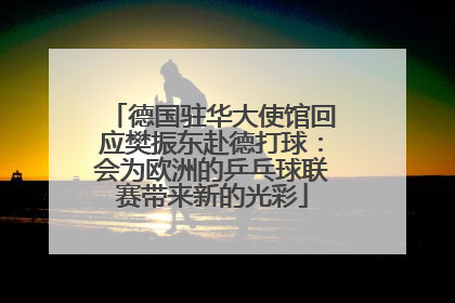 德国驻华大使馆回应樊振东赴德打球：会为欧洲的乒乓球联赛带来新的光彩