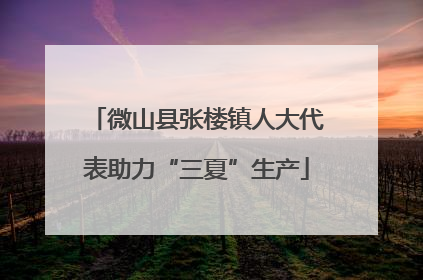 微山县张楼镇人大代表助力“三夏”生产