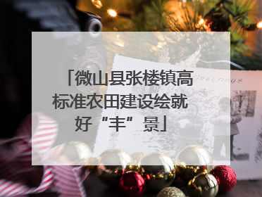 微山县张楼镇高标准农田建设绘就好“丰”景