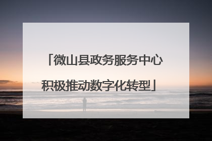 微山县政务服务中心积极推动数字化转型