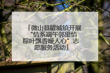 微山县驩城镇开展“情系端午邻里情 粽叶飘香暖人心”志愿服务活动