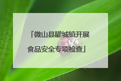 微山县驩城镇开展食品安全专项检查