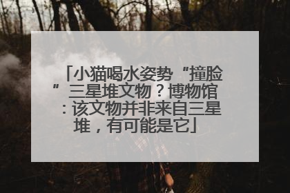 小猫喝水姿势“撞脸”三星堆文物？博物馆：该文物并非来自三星堆，有可能是它