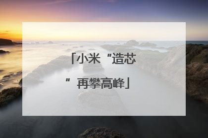 小米“造芯”再攀高峰