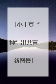 小土豆“种”出共富新图景