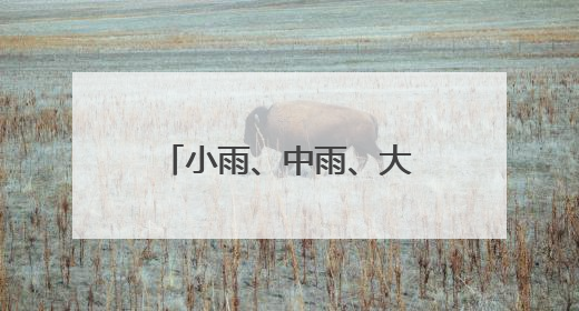 小雨、中雨、大雨……端午假期，内蒙古大部有雨，局地有暴雨