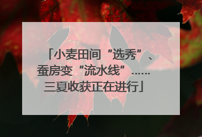 小麦田间“选秀”、蚕房变“流水线”……三夏收获正在进行