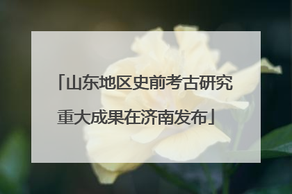 山东地区史前考古研究重大成果在济南发布