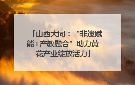 山西大同：“非遗赋能+产教融合”助力黄花产业绽放活力