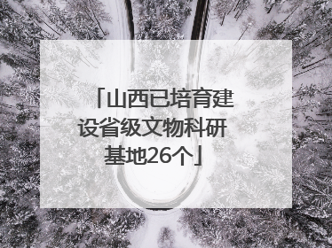 山西已培育建设省级文物科研基地26个