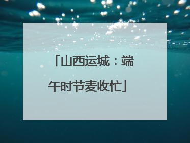 山西运城：端午时节麦收忙
