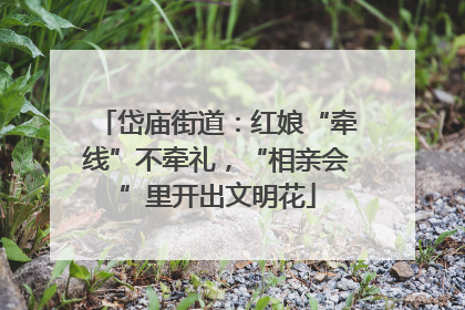 岱庙街道：红娘“牵线”不牵礼，“相亲会”里开出文明花