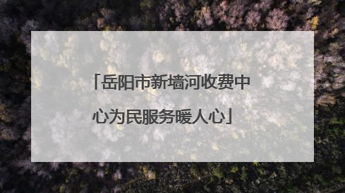 岳阳市新墙河收费中心为民服务暖人心