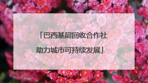 巴西基层回收合作社助力城市可持续发展