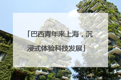 巴西青年来上海，沉浸式体验科技发展
