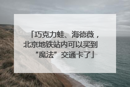 巧克力蛙、海德薇，北京地铁站内可以买到“魔法”交通卡了