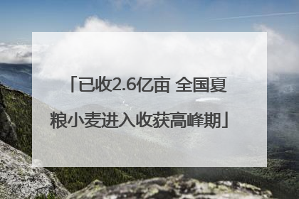 已收2.6亿亩 全国夏粮小麦进入收获高峰期