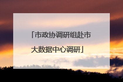 市政协调研组赴市大数据中心调研