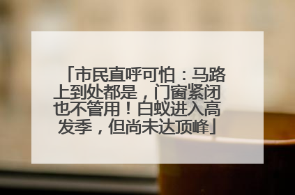 市民直呼可怕：马路上到处都是，门窗紧闭也不管用！白蚁进入高发季，但尚未达顶峰
