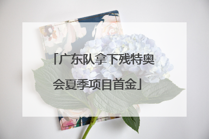 广东队拿下残特奥会夏季项目首金