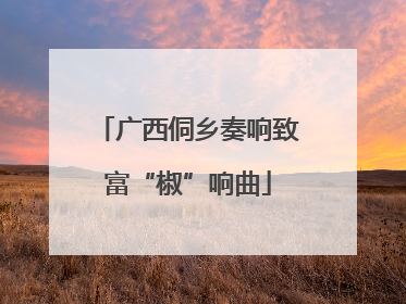 广西侗乡奏响致富“椒”响曲