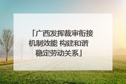 广西发挥裁审衔接机制效能 构建和谐稳定劳动关系