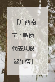 广西南宁：新侨代表共叙端午情