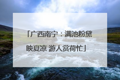 广西南宁：满池粉黛映夏凉 游人赏荷忙