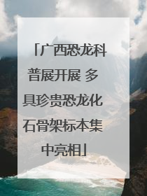 广西恐龙科普展开展 多具珍贵恐龙化石骨架标本集中亮相