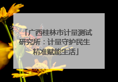 广西桂林市计量测试研究所：计量守护民生 精准赋能生活