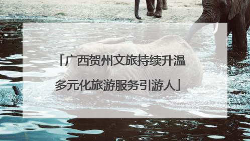 广西贺州文旅持续升温 多元化旅游服务引游人